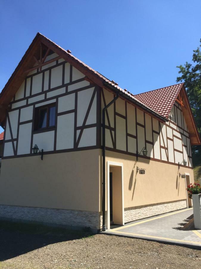 Zlote Modrzewie Apartament Duszniki Zdrój