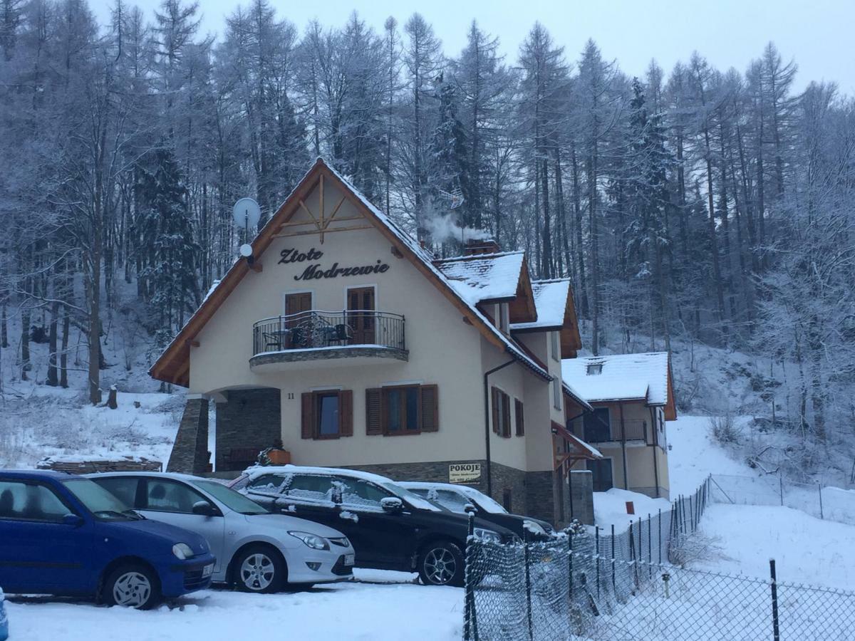 Zlote Modrzewie Apartament *