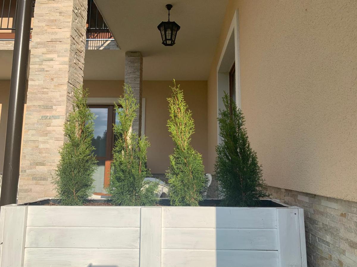 Zlote Modrzewie Apartament